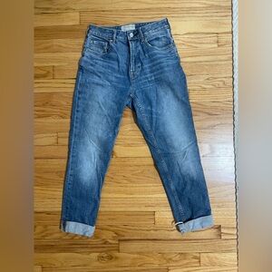 Everlane Curvy Cheeky Jean